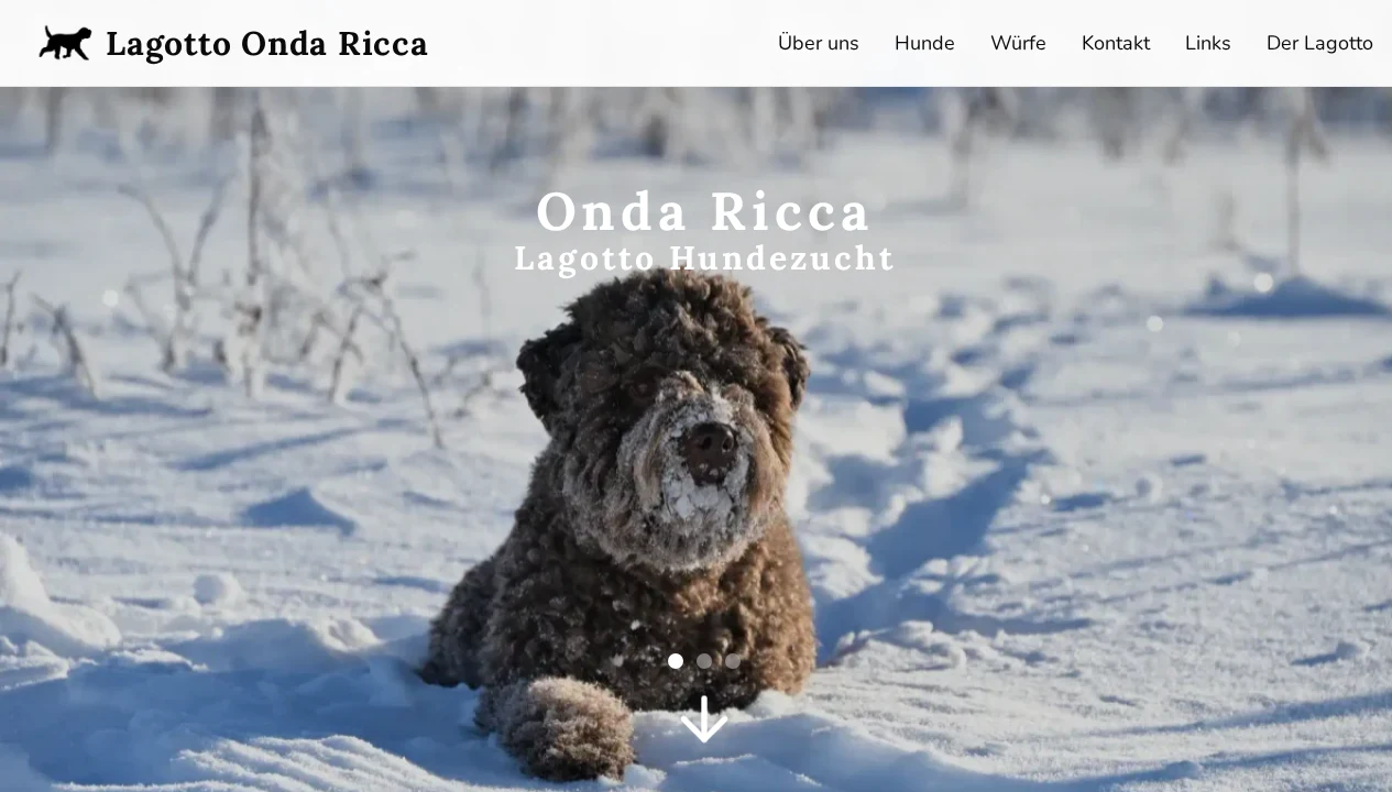 Startseite von Onda Ricca mit Navigation und großflächigem Foto eines Lagotto im Schnee